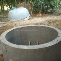 Digesteur de biogaz domestique PUXIN Design 10m³ à fermentation anaérobie, en béton et sable, durée de vie de 25 ans, pour la cuisson