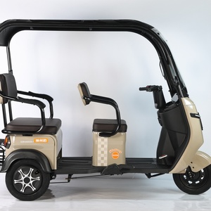 Triciclos Eléctricos de Pasajeros de Alta Potencia 850W 48V 12AH 20AH 32AH con Cubierta Completa, Venta al Por Mayor de Fábrica - Product Image 2