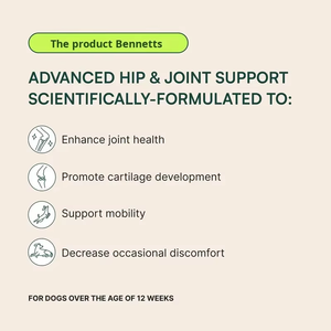 Suplemento para Articulaciones de Perro en Gránulos, Venta Caliente OEM ODM, Potente Cuidado Nutricional para las Articulaciones de Mascotas - Product Image 3