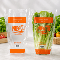 Sacs à laitue transparents coniques autocollants perforés personnalisés en CPP pour l'emballage des légumes