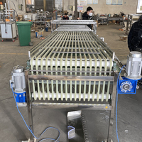 Pruimen fruit sorteerapparaat, appel sorteermachine, sinaasappel sorteermachine, maat sorteermachine beschikbaar voor Medjool dadels, jujubes en dadels.