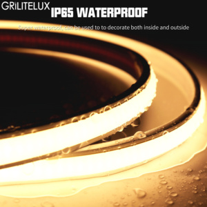 <span class=keywords><strong>COB</strong></span> Neon dây đèn IP65 không thấm nước thay đổi độ sáng <span class=keywords><strong>COB</strong></span> <span class=keywords><strong>LED</strong></span> Strip Lights 12V 24V 10 wát <span class=keywords><strong>LED</strong></span> Đèn Neon cho tủ bếp chiếu sáng - Product Image 5