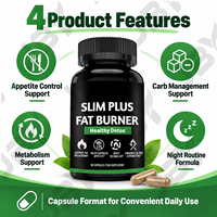 Complément Brûleur de Graisse à Marque Blanche avec Garcinia Cambogia, Thé Vert, L-Carnitine, Bloqueur de Glucides, Capsules de Soutien Métabolique