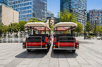Autobús Turístico Eléctrico de Lujo de 14 Plazas, Estilo Vintage, Negro y Dorado, Retro Clásico, para Complejos Turísticos y Parques Temáticos, Venta al Por Mayor
