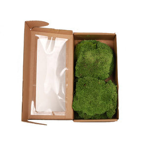 Großhandel Natürliches 500g Grünes Forever Pillow <span class=keywords><strong>Moos</strong></span> in Box A-Klasse Infinity Konserviertes Stimmungs-<span class=keywords><strong>Moos</strong></span> für Heim- und Bürodekoration - Product Image 1