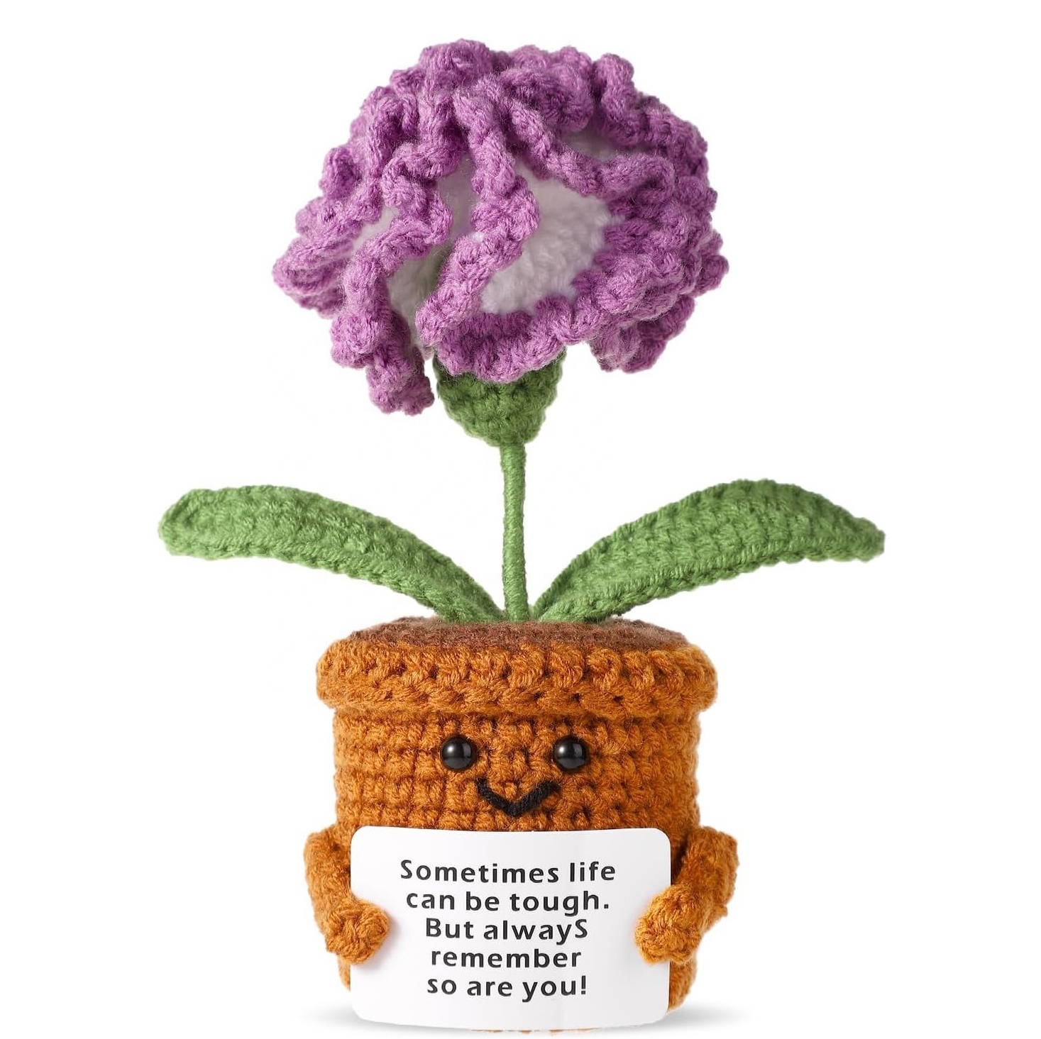 Purple Carnation