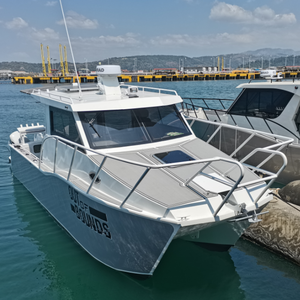 Sea King - Catamarán de Aluminio de Lujo de 8.8 <span class=keywords><strong>m</strong></span> (29 pies), Barco Estable y Cómodo para Pesca y Recreación - Product Image 1