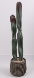 Cilindrico alla moda realistico artificiale <span class=keywords><strong>cactus</strong></span> con vasi per la decorazione interna esterna - Product Image 6