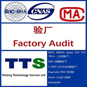 Services d'audit d'usine ICs, inspection professionnelle pour la conformité au commerce électronique transfrontalier, vérification par des tiers - Product Image 3