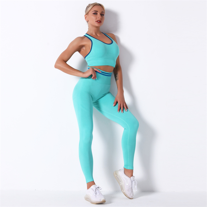 Fashion Modern Breathable Workout Clothing Women Active Wear  Yoga Pants  BRA  5 colors