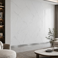 Plaque de marbre PVC WYRAX gris clair Carrara pour crédence de cuisine 1220x2440mm 5mm brillante pour rénovation de cuisine