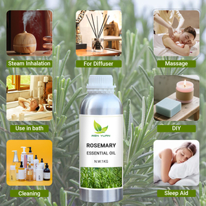 Huile Essentielle de <span class=keywords><strong>Romarin</strong></span> Pure en Gros 100% Naturelle Rosmarinus Officinalis pour l'Aromathérapie et les Soins Capillaires Certifiée MSDS COA Fabricant - Product Image 4