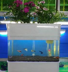 Mini acuaponia ecosistema tanque de peces escritorio sistema ecológico Multi de invernaderos Aquaponics - Product Image 6