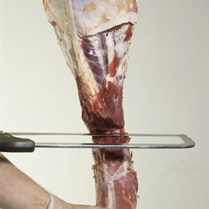 Bright Star <span class=keywords><strong>prix</strong></span> usine main boucher viande et os scie Cutter avec acier inoxydable 12/16/18/22/25 pouces lame - Product Image 2