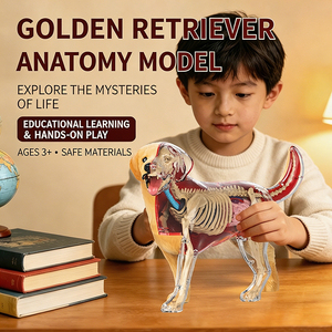 Kit scientifique interactif STEM, modèle anatomique d'animaux 3D, cadeaux d'anniversaire pour enfants et coffret de compétences scientifiques et d'ingénierie - Product Image 5