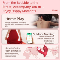 Sous-vêtements vibrants pour femmes, télécommande par application, vibromasseur pour culotte, stimulateur clitoridien, jouet sexuel pour femmes, plaisir sexuel