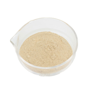 Высококачественный пищевой ферментный порошок кислотной протеазы по лучшей цене - Product Image 2
