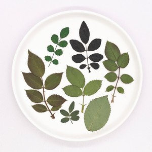 500 pièces/paquet de <span class=keywords><strong>roses</strong></span> avec tige, fleurs naturelles artisanales, réalistes, pour projets d'art en résine, cadres photo - Product Image 5