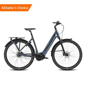 Bicicleta Electrica Crossmotor Elektrische 500W 1000W Goedkope Elektrische Fietsen Voor Volwassenen