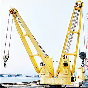 Customized 15 ton 25m hydraulic deck crane 30t deck crane vessel deck crane with CCS BV