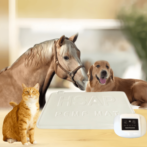 Strumento veterinario Pemf dispositivo di terapia magnetica che amplifica il trattamento di immunità per gli animali domestici con problemi alle articolazioni e alle ossa - Product Image 6