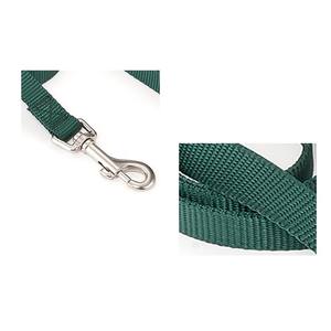 Simple Classic Solid Eco-Friendly Durable Quality <b>Pet</b> Outdoor <b>Leashes</b> Wholesale Nylon Webbing Dog Walking Lead - Product Image 5