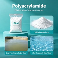Polyacrylamide Anionique PAM Granulaire pour le Traitement des Résidus et la Séparation Solide-Liquide