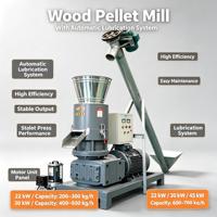 Machine à granulés de sciure de bois haute efficacité, 22kW 30kW 45kW, avec système de lubrification automatique