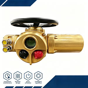 Actionneur de vanne électrique antidéflagrant Ex Iib <span class=keywords><strong>T4</strong></span> Ip67 étanche pour les emplacements industriels dangereux - Product Image 1