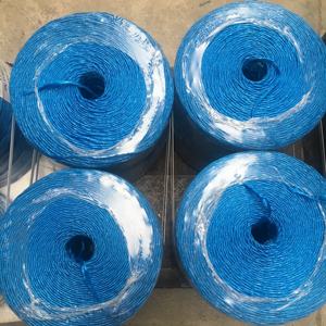 Vente chaude, corde en PP bon marché, 500 m/kg, <span class=keywords><strong>noir</strong></span>, jaune, bleu, ficelle pour bananes - Product Image 5