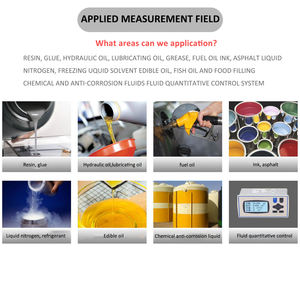 上海GNS小型流量計ポリウレタン樹脂ペイントマイクロオーバルギア流量計 - Product Image 6