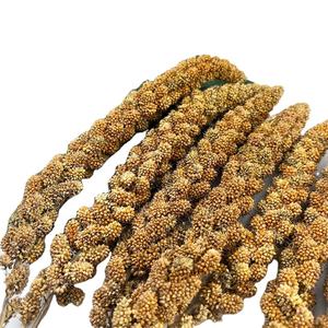 Fabrikant Leveren Rode Gierst Spray Uit China - Product Image 2