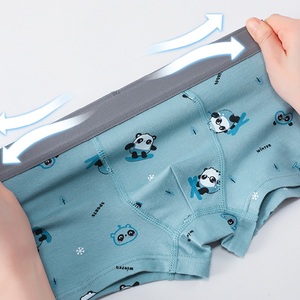 Sous-vêtements en coton pour enfants les plus populaires, caleçon et caleçon respirant pour garçon, vente en gros à motif <span class=keywords><strong>animal</strong></span> OEM ODM - Product Image 2