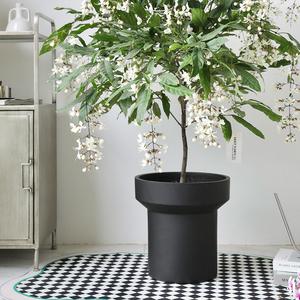 Venta al por mayor, sala de estar, jardín, balcón, planta decorativa, jardineras de cemento mate, maceta de hormigón suculenta - Product Image 4