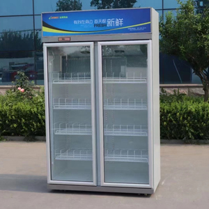 Tủ Đông Trưng Bày Cửa Kính Đôi 200L-500L Cửa Kính Tủ Đông Tủ Đông Trưng Bày - Product Image 1