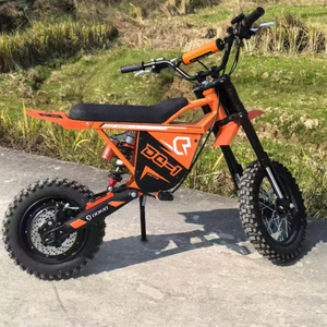 Motocicleta Deportiva Todoterreno de Litio de 1000W y 48V, Scooter de Dos Ruedas, Electrónico, Impermeable, Carga de 100kg - Product Image 6