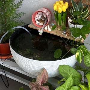 Hot-selling verdikte lotusbak <span class=keywords><strong>aquarium</strong></span> retro koperen munt <span class=keywords><strong>plant</strong></span> en waterlelie siervis <span class=keywords><strong>aquarium</strong></span> siervisbak - Product Image 4