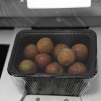 Machine d'emballage sous film étirable pour palettes de fruits et légumes, scelleuse de barquettes de restauration rapide, scelleuse thermique pour film plastique