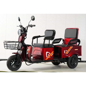 Triciclo Eléctrico de 600W, 35 km/h, Alcance de 50 km, Triciclo Eléctrico para <span class=keywords><strong>Adultos</strong></span>, <span class=keywords><strong>Trimoto</strong></span> Eléctrica de 48V, Bicicleta Eléctrica de Carga - Product Image 3