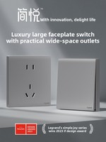 Prise Murale Mate Simple et Élégante Argent Sable Profond avec Interrupteur Simple, Cinq Ports USB Multiples, Ignifuge, pour Climatiseur PC