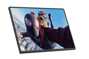 FHD 1080P 18.5 ''IPS Máy Tính Bên Ngoài Màn Hình Loại C Hiển Thị Xách Tay Máy Tính Xách Tay Màn Hình Cho PC - Product Image 3