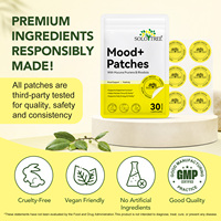 Patchs Transdermiques OEM à Marque Blanche du Fabricant, Sans Cruauté Animale, Imperméables, pour l'Humeur et la Relaxation (Femmes et Hommes)