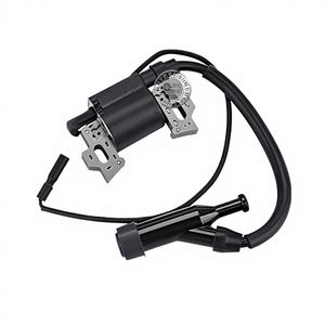 Bobina de Encendido para Generador de Gasolina de Alto Voltaje de 2-8 kW, Bomba de Agua para Microcultivador 168F/170F/188F/190F, Características Principales - Product Image 2