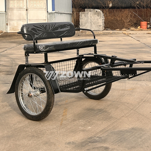 Carroza Pequeña para Caballos para Recorridos Turísticos en Parques y Zonas Escénicas, Carroza Especial para Uso Turístico - Product Image 5