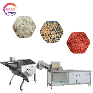 Industrial Fruit Dicer and Washer Dice Mango Cube Cutting Machine Automatic Dicing and Washing Machine