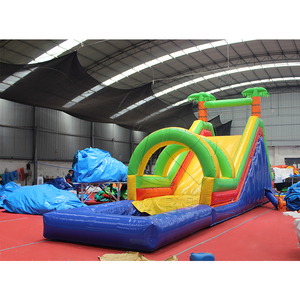 Summer Party Inflatable Tropical slip <b>Slide</b> Water Play <b>Slide</b> Inflatable Popular Inflatable Palm Water <b>Slide</b> with Swimming <b>Pool</b> - Product Image 3