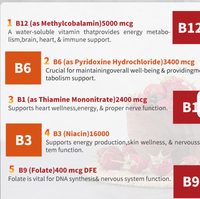 Compléments alimentaires végétaliens en vitamine B12 + B6, complexe B tout-en-un en gouttes liquides pour adultes, soutien immunitaire et énergétique
