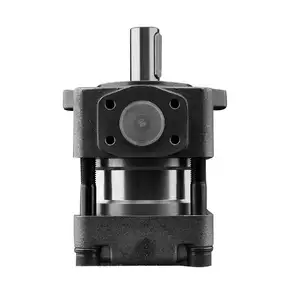 Sumi-tomo QT Series Gear Pump QT62 QT62-80F/100F/125F-BP-Z QT62-80E-S1389 QT62-125-BP-Z For Hydraulic Internal Gear Pump