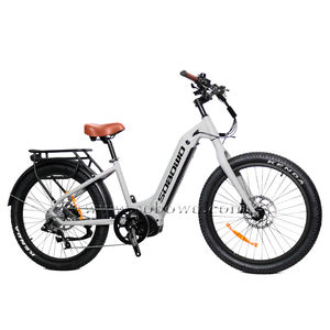 Bafang – vélo électrique de montagne à moteur central de 1000w, avec batterie intégrée - Product Image 1