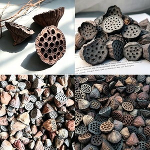 Umweltfreundliche, schlichte Trockenblumen-Samenköpfe für Heim- und Aquariendekoration, natürliche getrocknete Lotusblüten - Product Image 3